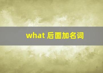 what 后面加名词